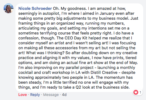 Screenshot of a Facebook comment praising CEO Day Kit.