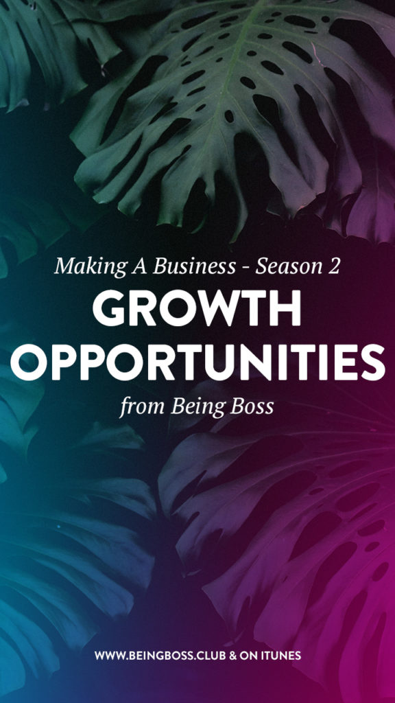 Growth opportunities for product businesses