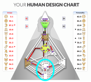 Human Design Bodygraph